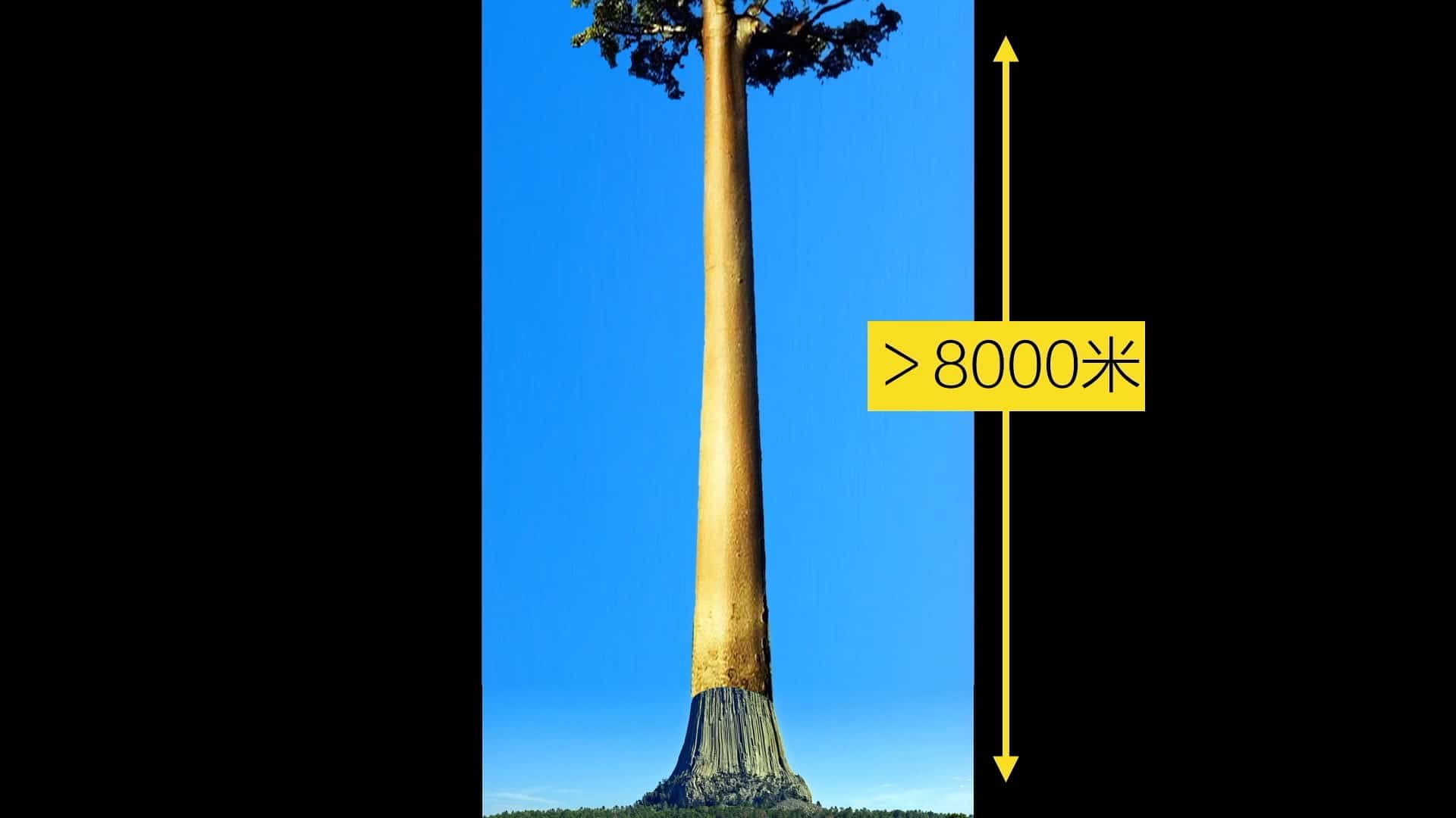 《山海經》的五個驚奇之四：被斷絕的通天樹，美國這顆高達400米的“樹墩化石”究竟是不是遠古通天樹的遺址？上古世界究竟有什麼樣的驚奇故事？|自說自話的總裁